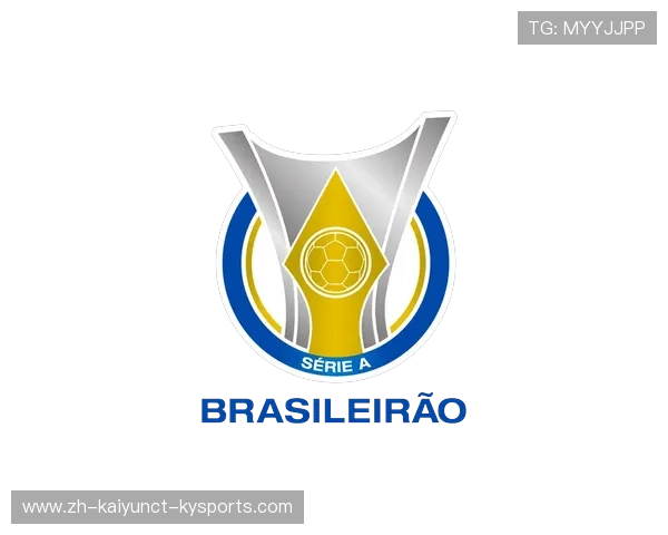 巴西甲级联赛知名球队介绍