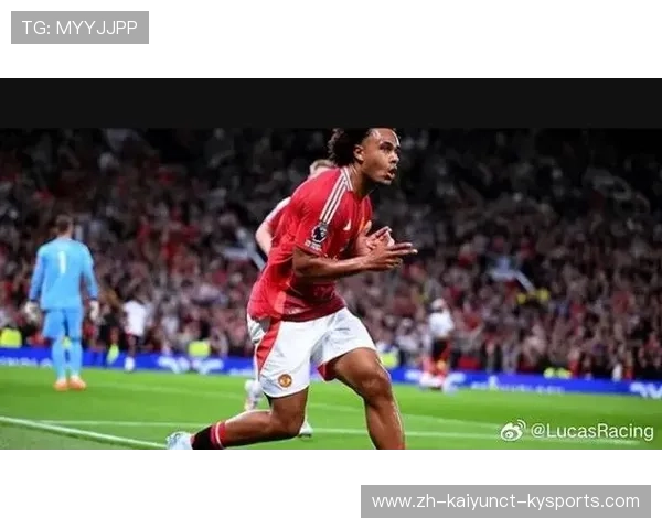 荷兰国脚在英超的职业发展与技术特点